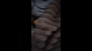 маша и медведь 62.