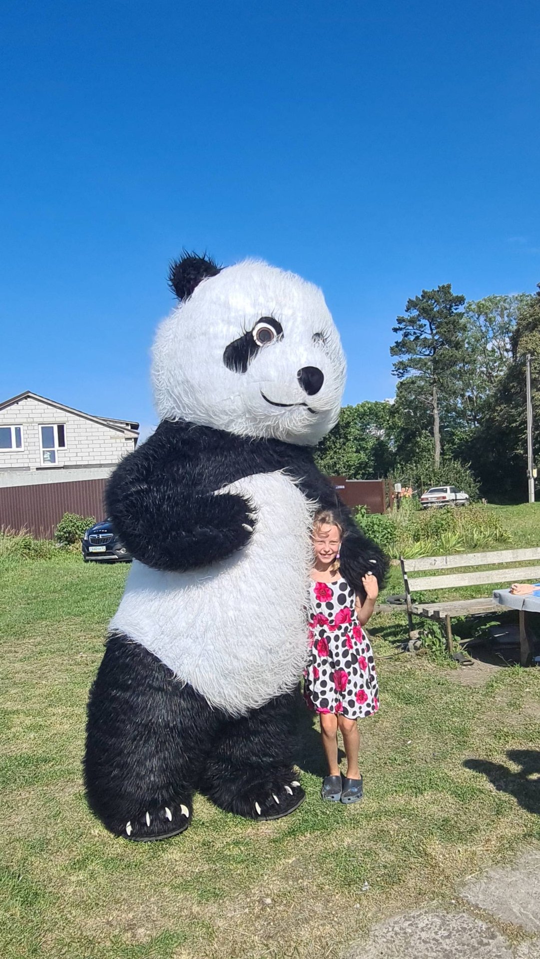 Панда поздравляет смотреть онлайн