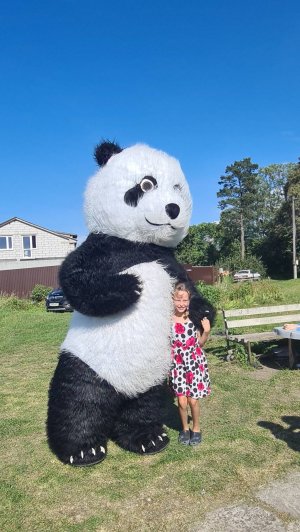 Панда поздравляет