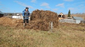 Осенние работы, малину,  ботву  на зимовку