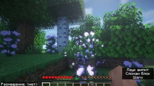 открытие сервер в майнкрафт