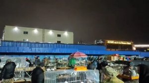 Сборная садовод. Москва.25.10.2025