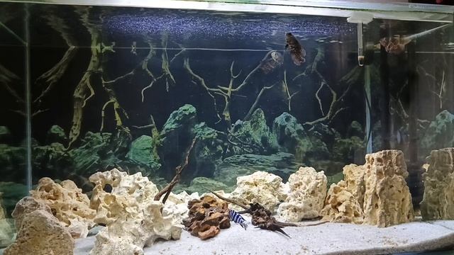 Релакс под великолепное адажио