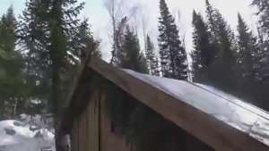 В ИЗБУ ПОСЛЕ СИЛЬНОГО УРАГАНА. ИЗБУШЕЧНЫЙ КАЙФ В НЕНАСТЬЕ. ТАЁЖНЫЕ ХЛОПОТЫ.