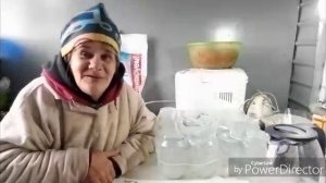 Пришли семена / Фасоль в томате.