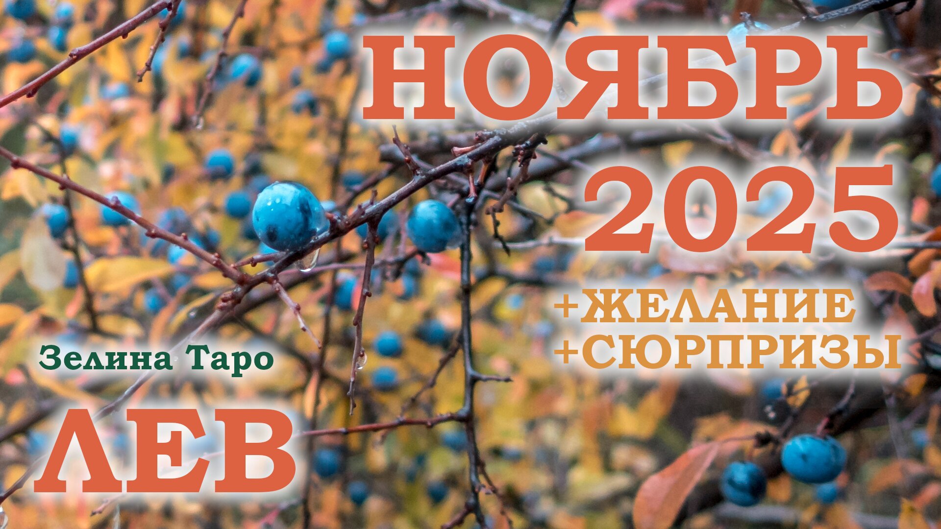 ЛЕВ | ТАРО прогноз на НОЯБРЬ 2025 года | Желание | Сюрпризы | Расклад таро смотреть онлайн