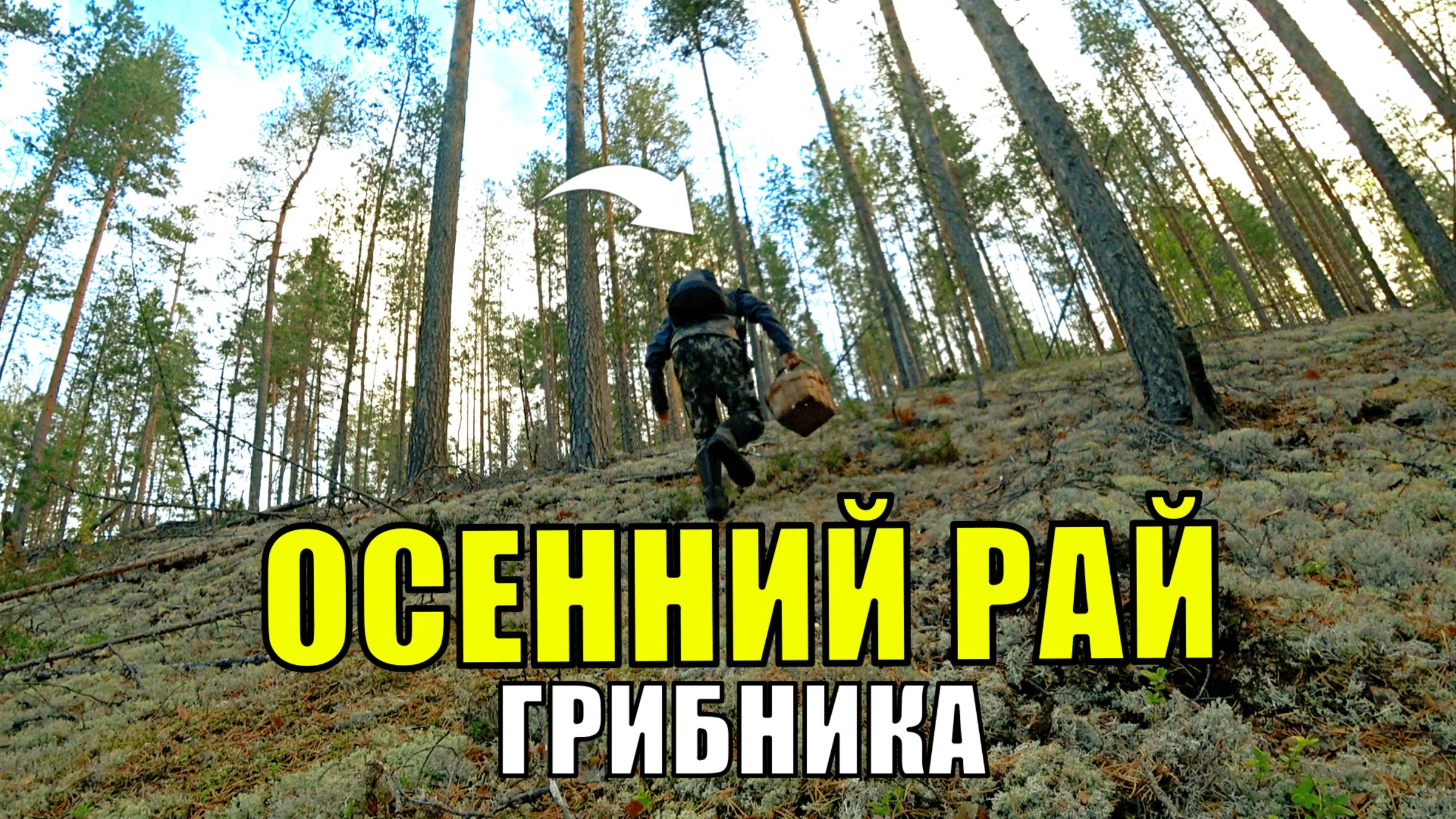 Грибник перешел БОЛОТО зашел в МОХ и СТАЛ ЗАИКАТЬСЯ! Один в лесу ТАКОГО НЕ ОЖИДАЛ! Грибы 2025 смотреть онлайн