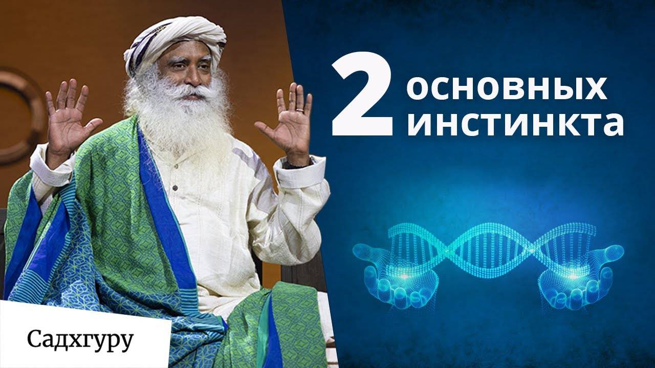 2 основных инстинкта человека смотреть онлайн