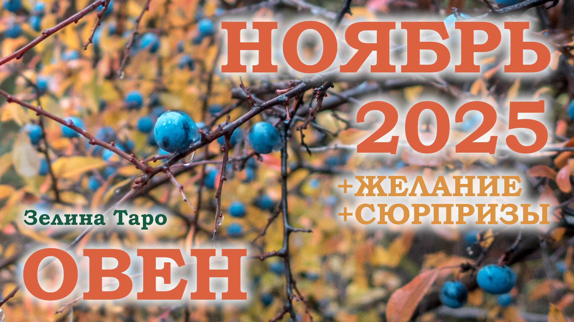 ОВЕН | ТАРО прогноз на НОЯБРЬ 2025 года | Желание | Сюрпризы | Расклад таро смотреть онлайн