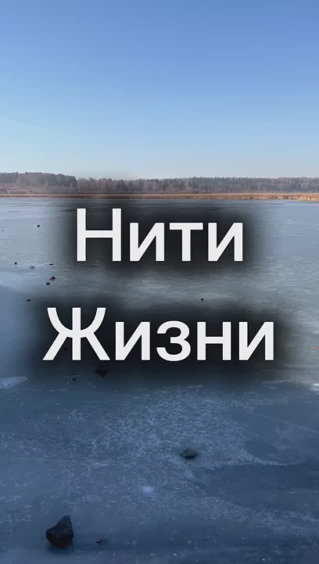 «Нити Жизни»