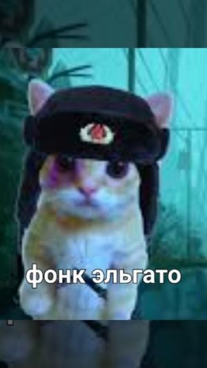 фонк эльгато