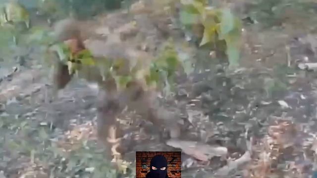 Штурм спецназа ВС РФ (вид от первого лица) смотреть онлайн