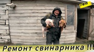 Как мы готовим поросят к зиме. Жизнь и будни в омской деревне.