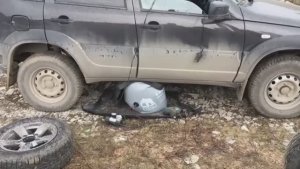 Пневмодомкрат. Домкрат пневматический. Честный отзыв о пневмодомкрате и стоит ли держаться подальше