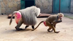 Поматросит и бросит - это про Люсю! Лида от Люси уже на потолок залазит, устала от этого "праздника"