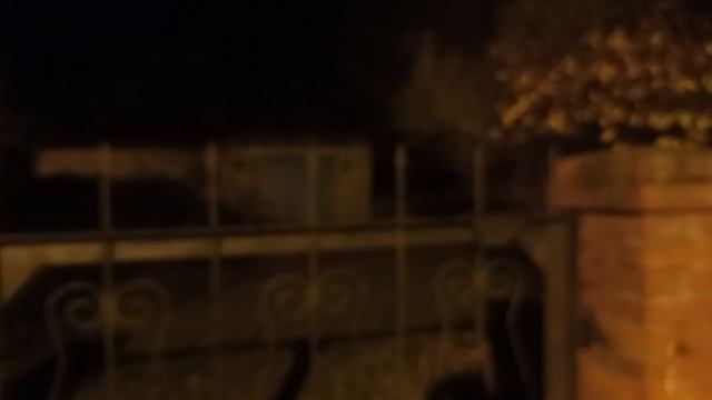 стало немного светлее смотреть онлайн