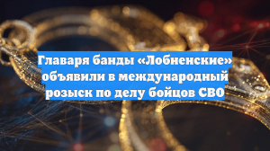 Главаря банды «Лобненские» объявили в международный розыск по делу бойцов СВО