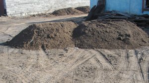 И снова разгребаю землю.