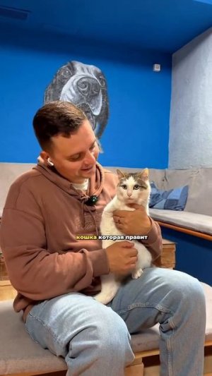 Обзор на Песо кафе