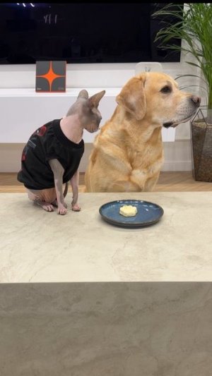 А у них есть сила воли💪