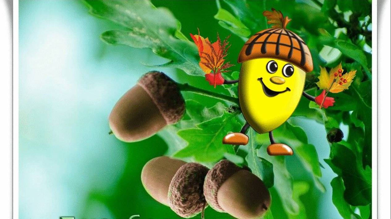 5 ноября День желудей смотреть онлайн