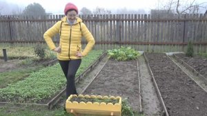 6 соток 21 октября 2025 года. Хроника.