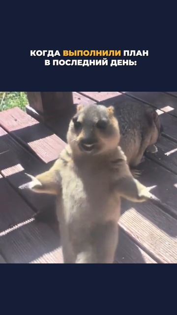 😁 Менеджеры, у кого было?