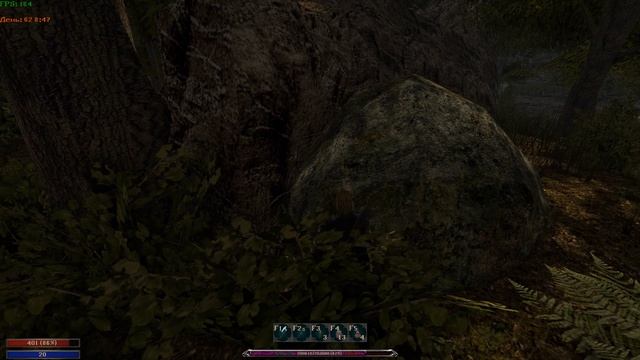 Сбор провизии и неожиданная встреча (Квест "Нехватка продовольствия")