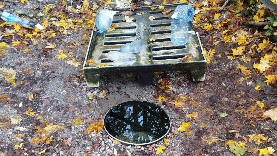 Родник у поселка Малое Борисово Калининградская область