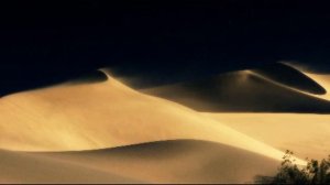 I Miss You Like The Desert Miss The Rain ( Я cкучаю по тебе, как пустыня по дождю)