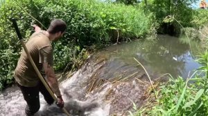 Строительство, расчистка русла реки