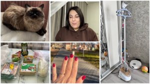 🤪В ШОКЕ ОТ КОММЕНТАРИЕВ/Новый ОТПАРИВАТЕЛЬ/🤣ГОТОВЛЮ ВЕДРАМИ🥗/🐈МНОГО ДИКСИ🐱/🍁МАНИКЮР