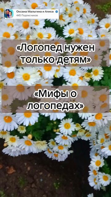 «Мифы о логопедах» смотреть онлайн