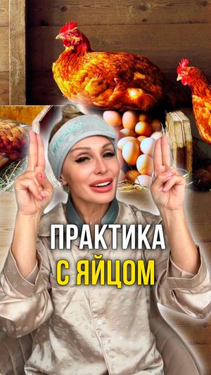 Практика с яйцом