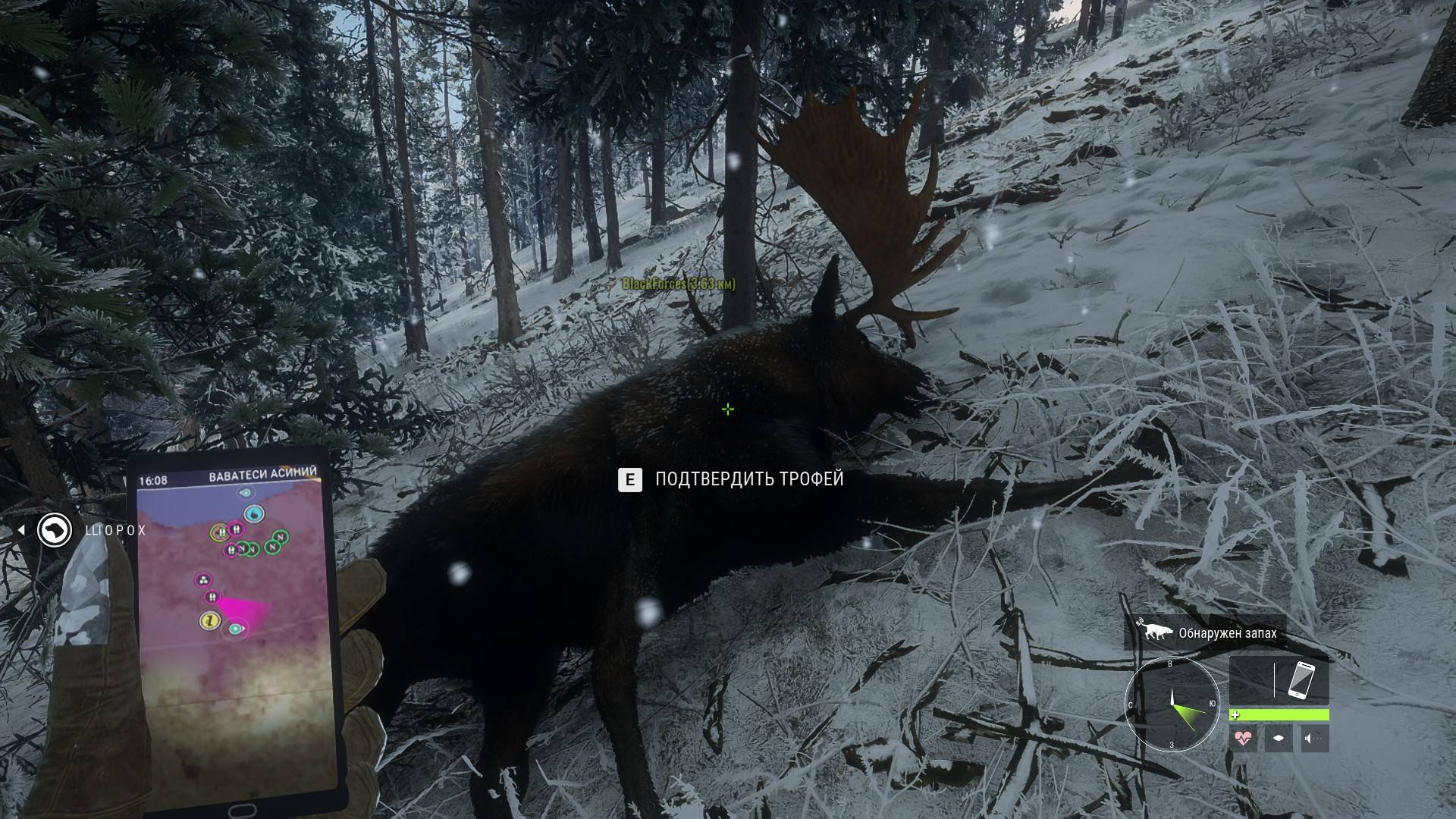 the hunter call of the wild