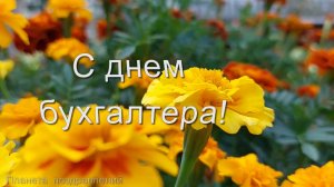 21 апреля день главного бухгалтера.. С днем бухгалтера. Песня и поздравление с днем бухгалтера