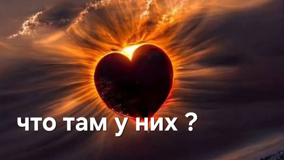 4 короля , что там у них? смотреть онлайн