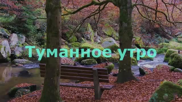 Туманное утро смотреть онлайн