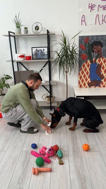 Проиграла игрушки смотреть онлайн