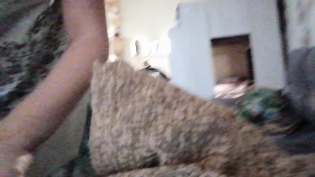 Лежу на новом диване:-) смотреть онлайн