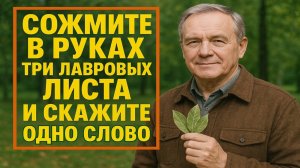 Три лавровых листа в кулаке и одно слово - древний ритуал, что меняет судьбу