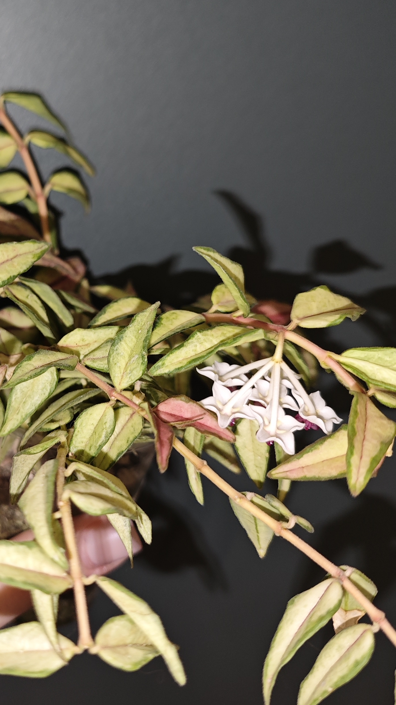 26-10-2025 смотреть онлайн