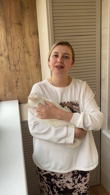 Вводный курс часть 1 смотреть онлайн