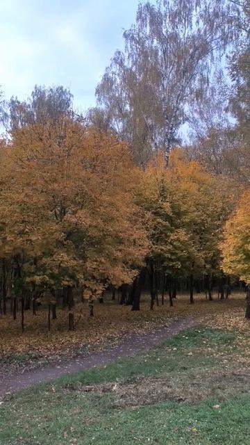 Осенние пейзажи смотреть онлайн