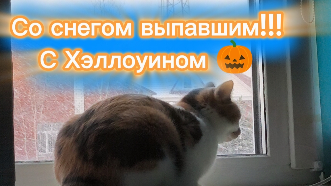 С выпавшим снегом нас ❄️❄️❄️ и праздником Хэллоуина 🎃!!! смотреть онлайн