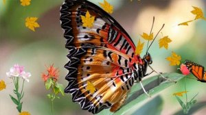 ФУТАЖ - КРАСИВАЯ ПРИРОДА