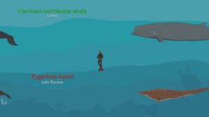 Сравнение размеров вымерших и ныне живущих китов