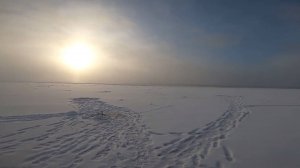 Рыбалка на налима. Чёрная дыра. Серия 4