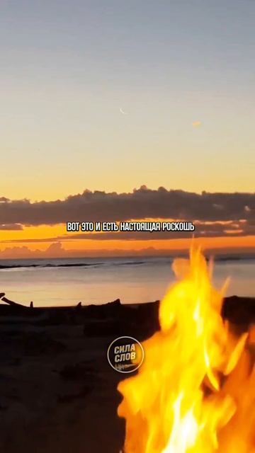 Это настоящая роскошь смотреть онлайн