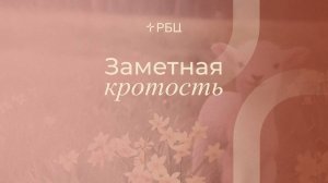 Заметная кротость. Евгений Бахмутский. 26.10.2025